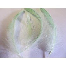 Poultry Feather